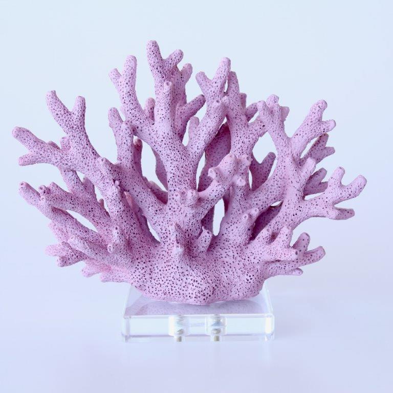Mauve Coral On Perspex Base